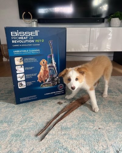 🔥Limited time benefits🔥ProHeat 2X Revolution Pet photo review